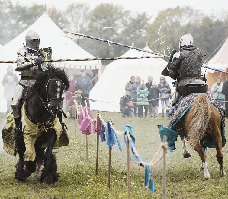 kvindelig ridder og hest